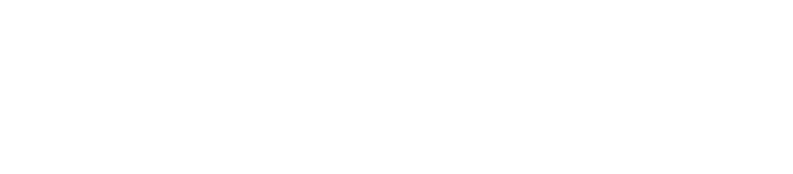 NordVPN logo in white color