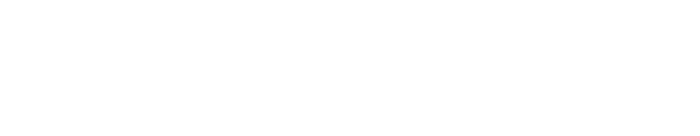 PrivateVPN logo in white color